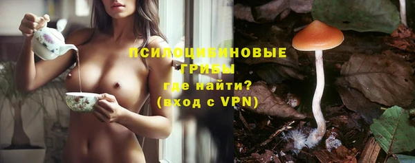 spice Алексин