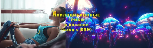 spice Алексин