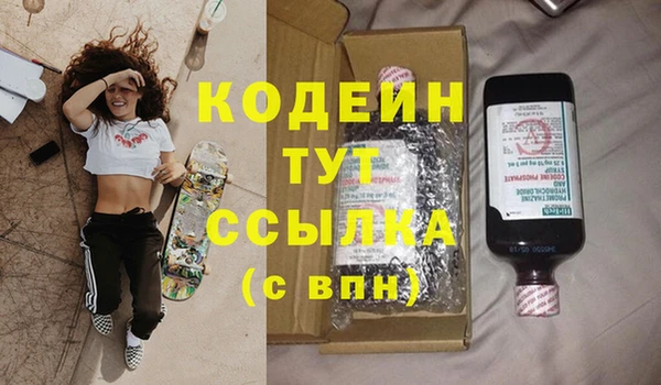 индика Абинск