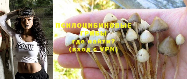 героин Алзамай