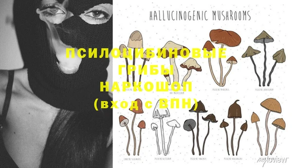 марки nbome Елизово